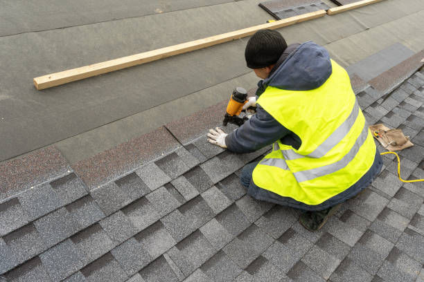 Best Flat Roof Repair Services  in Litchfield, MN