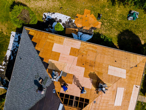 Best Shingle Roofing Installation  in Litchfield, MN