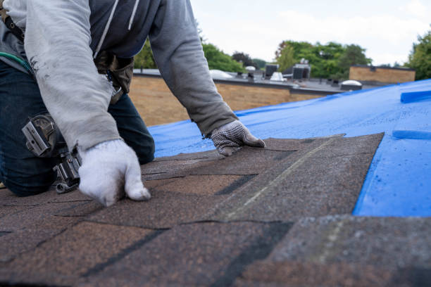 Quick and Trustworthy Emergency Roof Repair Services in Litchfield, MN