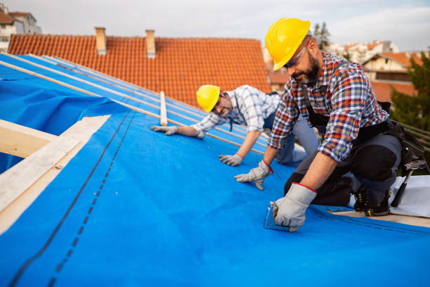Best Emergency Roof Repair  in Litchfield, MN
