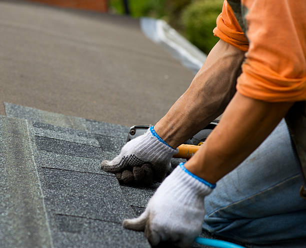 Best Roof Maintenance Services  in Litchfield, MN