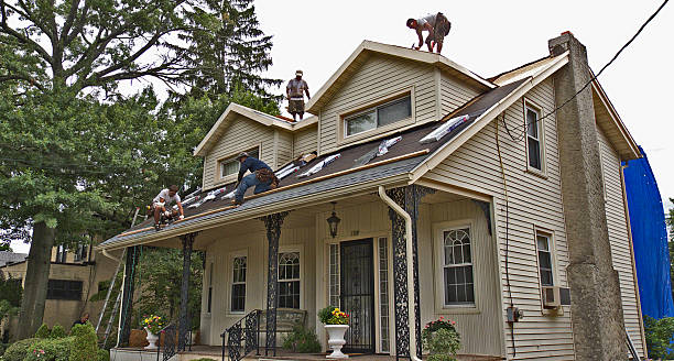 Best Gutter Installation and Roofing  in Litchfield, MN