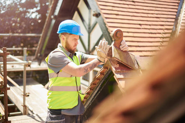 Best New Roof Installation  in Litchfield, MN