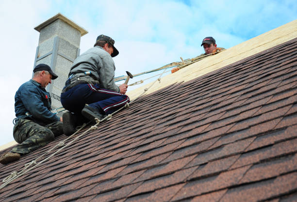 Best Emergency Roof Repair  in Litchfield, MN